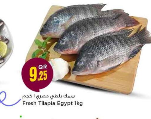  King Fish  in Safari Hypermarket in Qatar - Doha