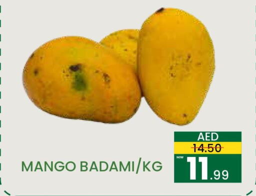 Mango   in مدهور سوبرماركت in الإمارات العربية المتحدة , الامارات - دبي