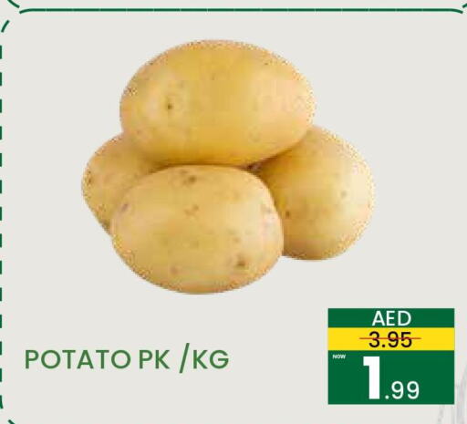  Potato  in مدهور سوبرماركت in الإمارات العربية المتحدة , الامارات - دبي
