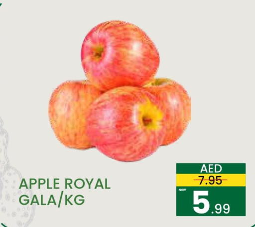  Apples  in مدهور سوبرماركت in الإمارات العربية المتحدة , الامارات - الشارقة / عجمان