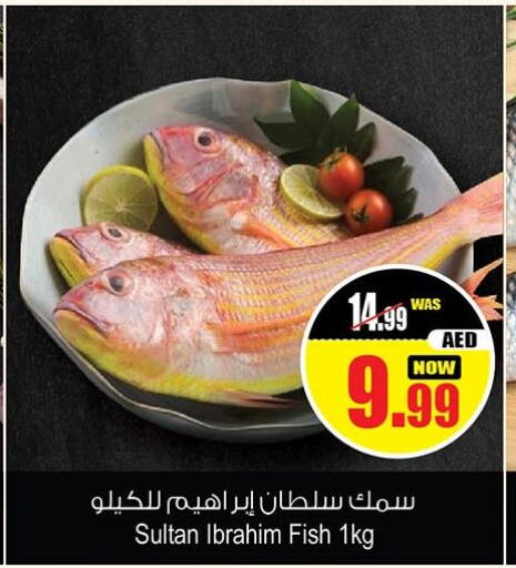  King Fish  in Ansar Mall in UAE - Sharjah / Ajman