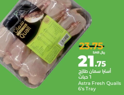 Tuna  in LULU Hypermarket in KSA, Saudi Arabia, Saudi - Unayzah