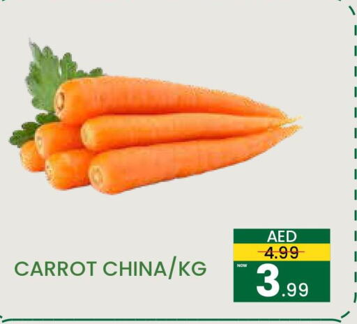  Carrot  in مدهور سوبرماركت in الإمارات العربية المتحدة , الامارات - الشارقة / عجمان