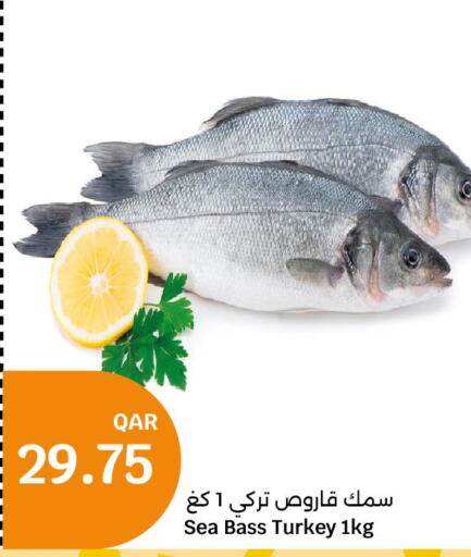  King Fish  in سيتي هايبرماركت in قطر - الوكرة