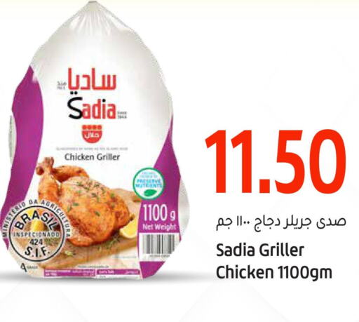 SADIA Frozen Whole Chicken  in جلف فود سنتر in قطر - أم صلال