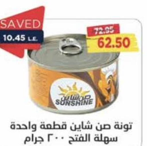  Tuna - Canned  in مترو ماركت in Egypt - القاهرة