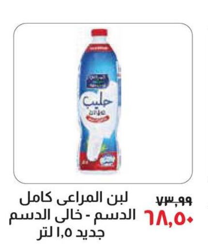 ALMARAI Other Milk  in خير زمان in Egypt - القاهرة