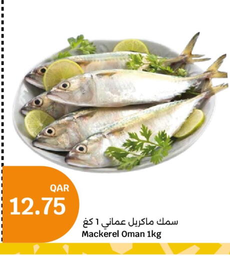  King Fish  in City Hypermarket in Qatar - Al Rayyan