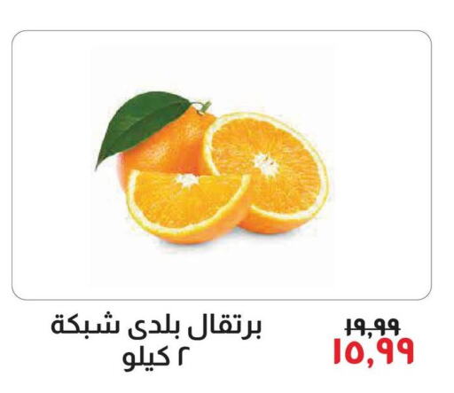  Orange  in Kheir Zaman  in Egypt - Cairo