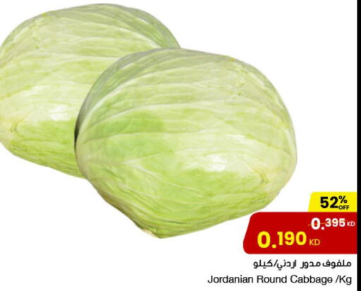  Cabbage  in مركز سلطان in الكويت - مدينة الكويت
