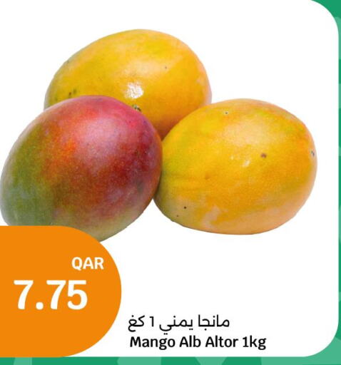 Mango   in سيتي هايبرماركت in قطر - الخور