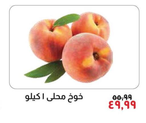  Peach  in خير زمان in Egypt - القاهرة
