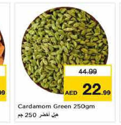  Dried Herbs  in نستو هايبرماركت in الإمارات العربية المتحدة , الامارات - أبو ظبي