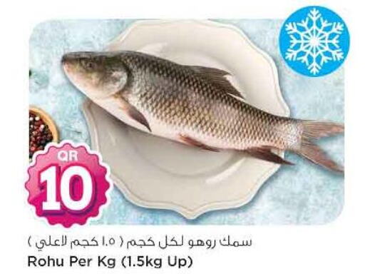  King Fish  in Safari Hypermarket in Qatar - Al Khor