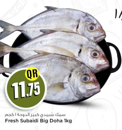  King Fish  in سفاري هايبر ماركت in قطر - الدوحة