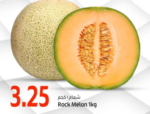  Sweet melon  in جلف فود سنتر in قطر - الشحانية