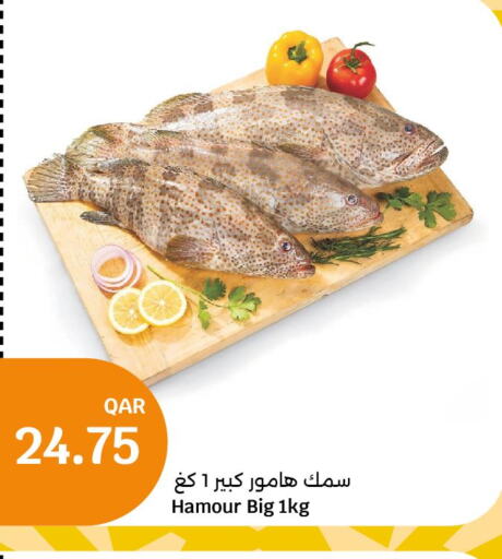  King Fish  in City Hypermarket in Qatar - Al Rayyan