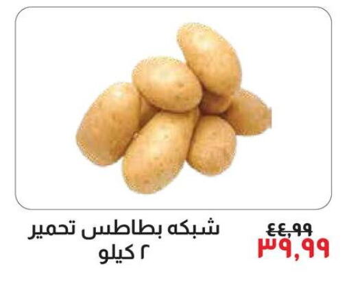  Potato  in خير زمان in Egypt - القاهرة