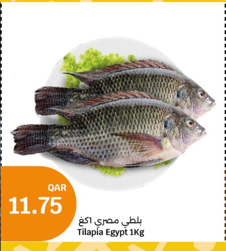 King Fish  in سيتي هايبرماركت in قطر - الدوحة