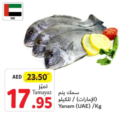  Tuna  in Union Coop in UAE - Abu Dhabi