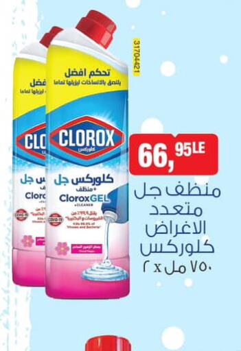 CLOROX General Cleaner  in BIM Market  in Egypt - Cairo