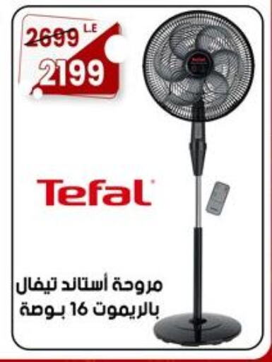TEFAL Fan  in المرشدي in Egypt - القاهرة