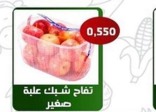 Apples  in Al Fahaheel Co - Op Society in Kuwait - Ahmadi Governorate