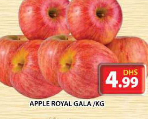 Apples  in Grand Hyper Market in UAE - Sharjah / Ajman
