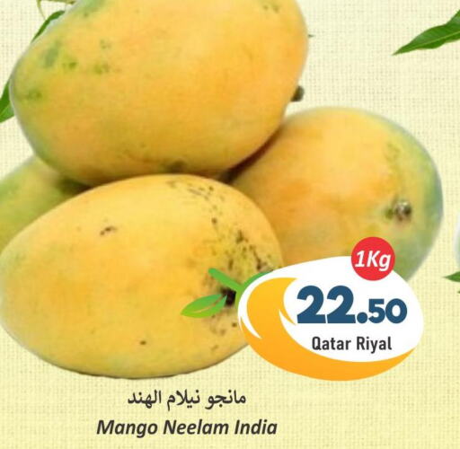 Mango   in دانة هايبرماركت in قطر - الدوحة