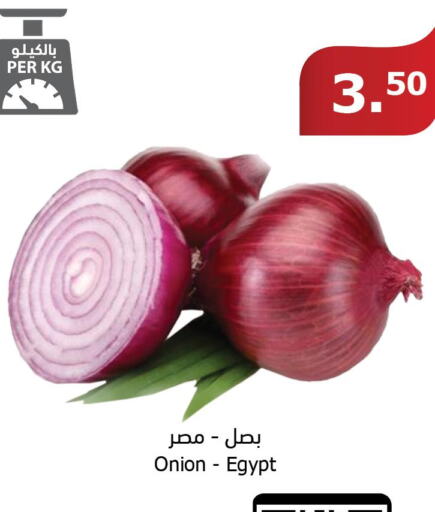  Onion  in الراية in مملكة العربية السعودية, السعودية, سعودية - مكة المكرمة