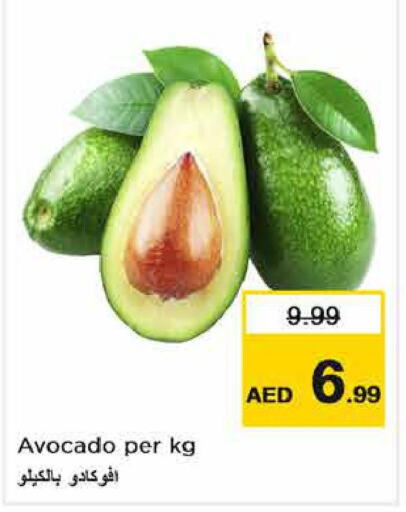  Avacado  in Nesto Hypermarket in UAE - Fujairah
