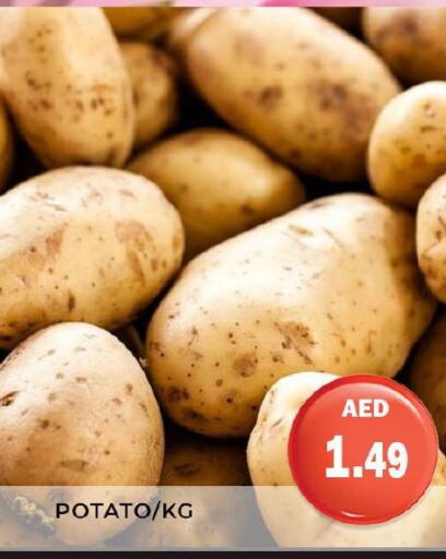  Potato  in هايبر ماركت مينا المدينة in الإمارات العربية المتحدة , الامارات - الشارقة / عجمان