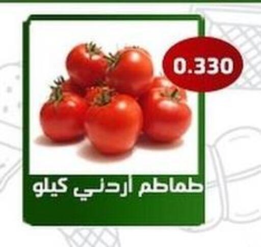  Tomato  in جمعية فحيحيل التعاونية in الكويت - محافظة الأحمدي