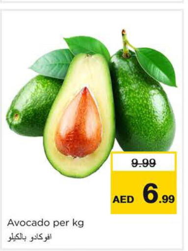  Avacado  in Nesto Hypermarket in UAE - Sharjah / Ajman