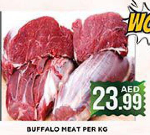  Buffalo  in Ainas Al madina hypermarket in UAE - Sharjah / Ajman