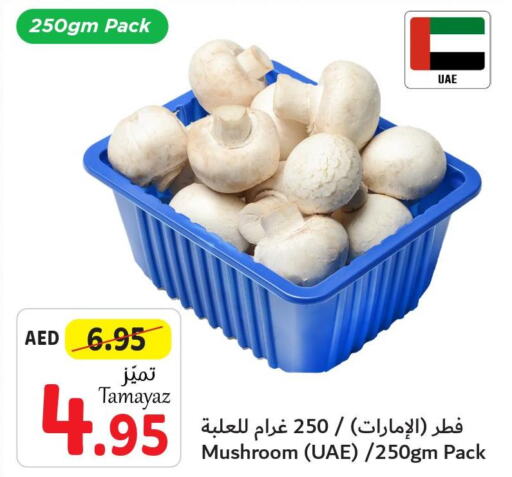  Mushroom  in Union Coop in UAE - Abu Dhabi