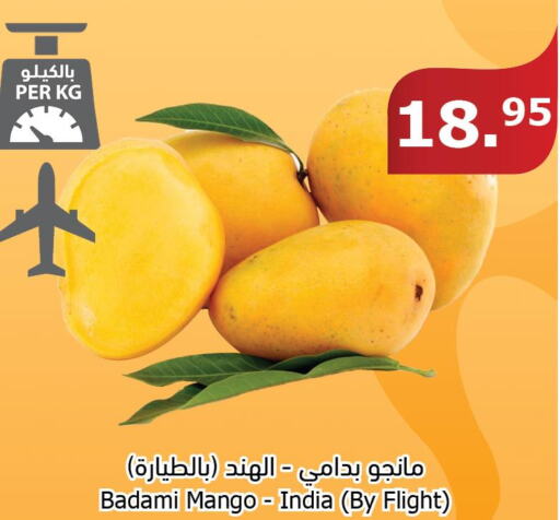 Mango   in Al Raya in KSA, Saudi Arabia, Saudi - Bishah