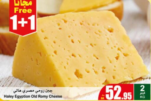  Roumy Cheese  in أسواق عبد الله العثيم in مملكة العربية السعودية, السعودية, سعودية - رفحاء