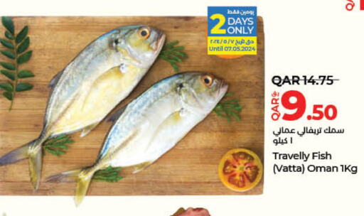  King Fish  in لولو هايبرماركت in قطر - الدوحة
