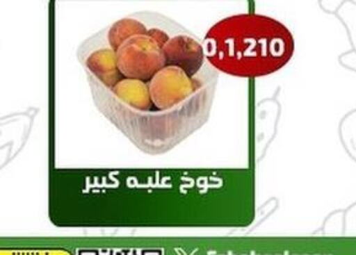  Peach  in Al Fahaheel Co - Op Society in Kuwait - Jahra Governorate