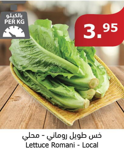  Cabbage  in الراية in مملكة العربية السعودية, السعودية, سعودية - جدة
