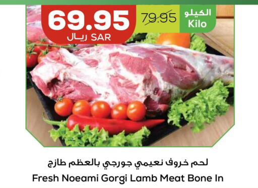  Mutton / Lamb  in Astra Markets in KSA, Saudi Arabia, Saudi - Tabuk