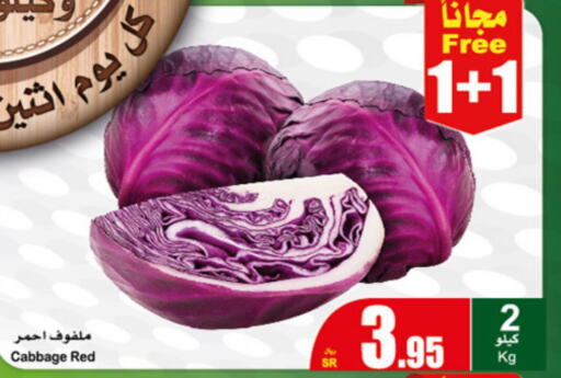  Cabbage  in أسواق عبد الله العثيم in مملكة العربية السعودية, السعودية, سعودية - القنفذة