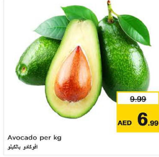  Avacado  in Nesto Hypermarket in UAE - Al Ain