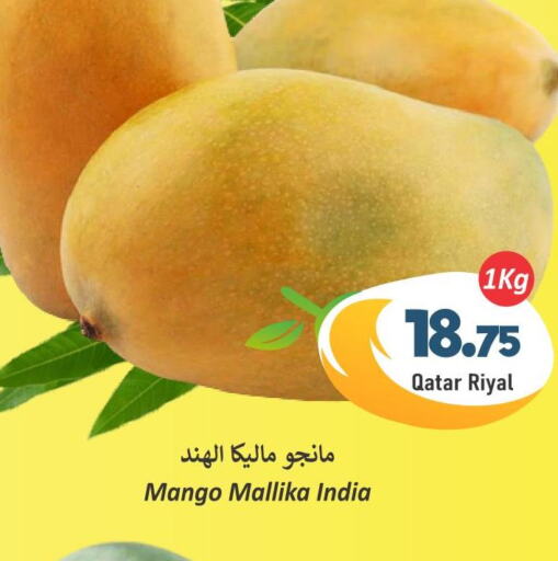 Mango   in دانة هايبرماركت in قطر - الريان
