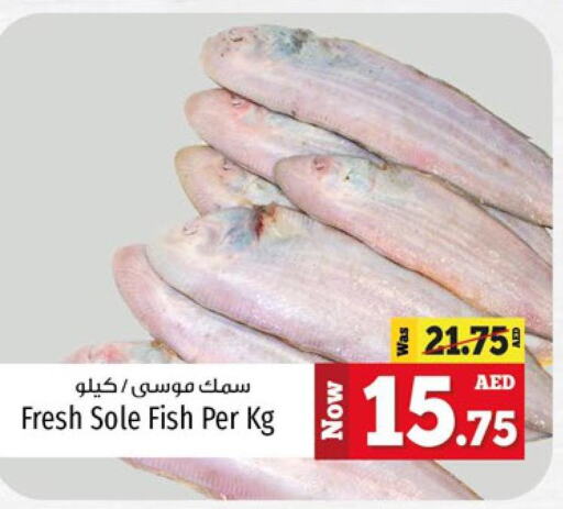  King Fish  in Kenz Hypermarket in UAE - Sharjah / Ajman