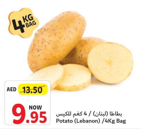  Potato  in Umm Al Quwain Coop in UAE - Umm al Quwain