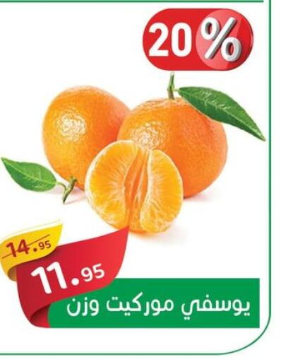  Orange  in أسواق العثيم in Egypt - القاهرة