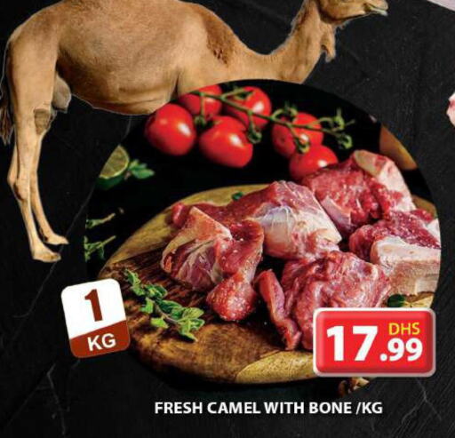  Camel meat  in Grand Hyper Market in UAE - Sharjah / Ajman