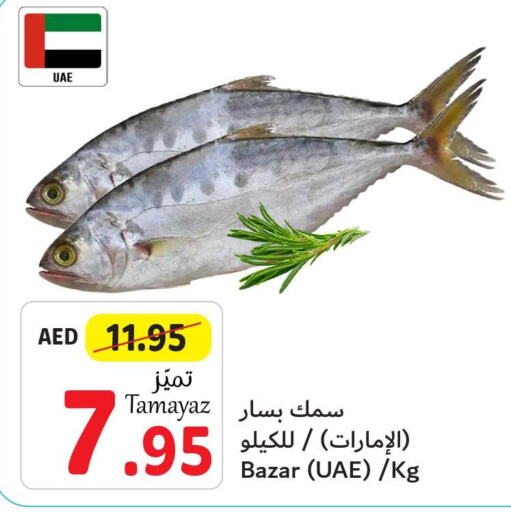 Tuna  in Union Coop in UAE - Abu Dhabi